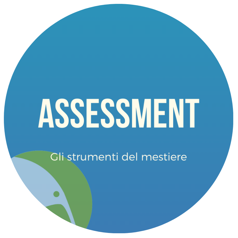 assesment